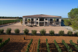 BODEGAS VI REI