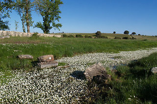 La Dama Verde - Balneario de Almeida en Almeida de Sayago (Zamora)