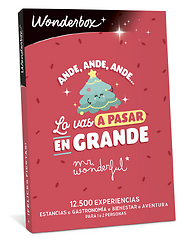 Mr. Wonderful - Felices Fiestas