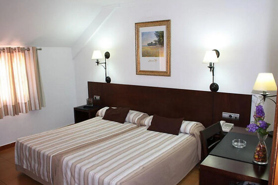 HOTEL DEL CARMEN - photo 5