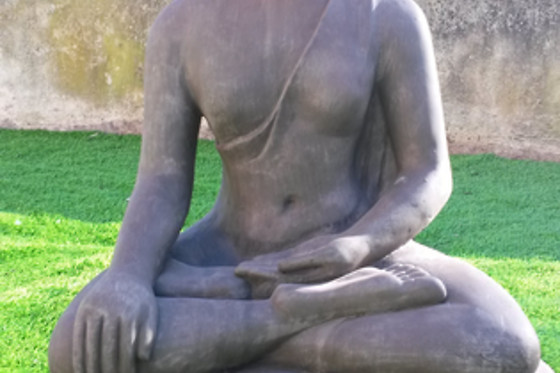 Institut Sandra - photo 10