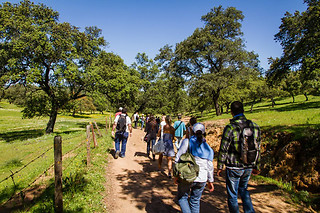 Excursión a Tánger en Sevilla