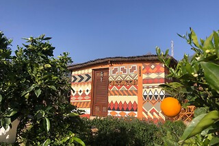 Dos noches en cabaña ecológica para 2 en Afrikant Krisant Tenerife en Arafo (Tenerife)