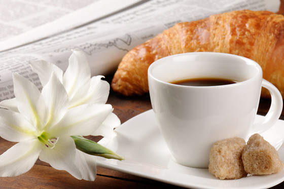 Domaine Saint Roch - photo 1