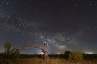 Una ruta privada hacia las Estrellas para 2 en Astrogata en Robledillo de Gata (Cáceres)
