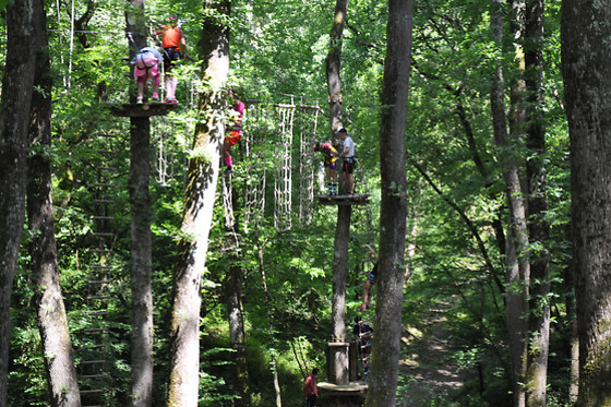 Natura Game - photo 1