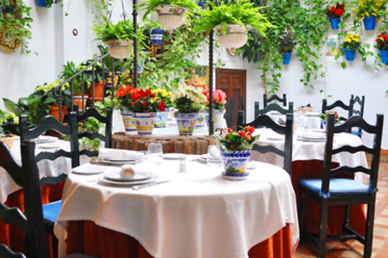RESTAURANTE PUERTA SEVILLA - photo 12