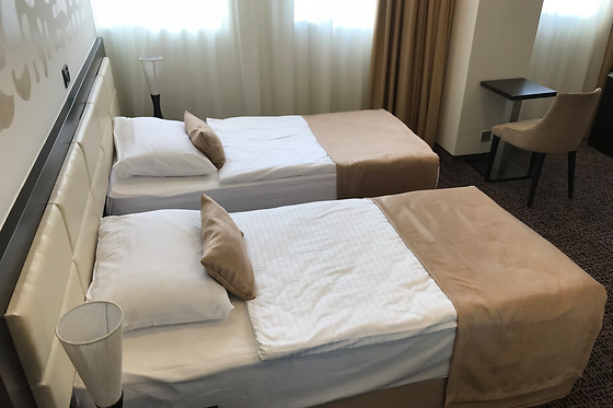 Hotel Diplomat - photo 3