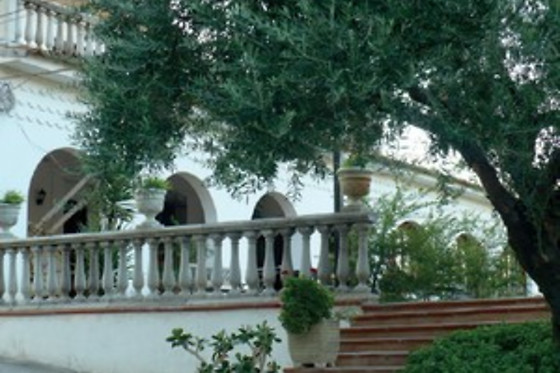 Agri-Club - photo 0