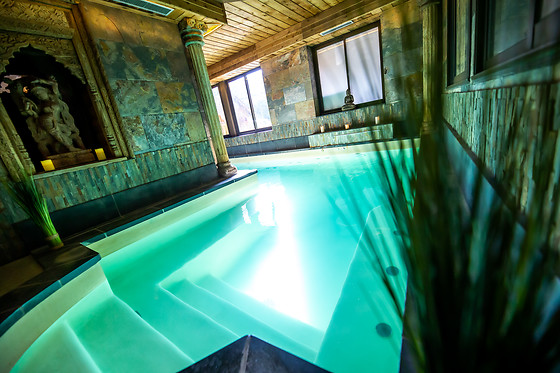 Hôtel et Spa Le lion d'or - photo 20