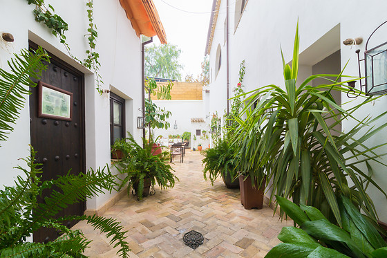 LA CASONA DE CALDERÓN - photo 3