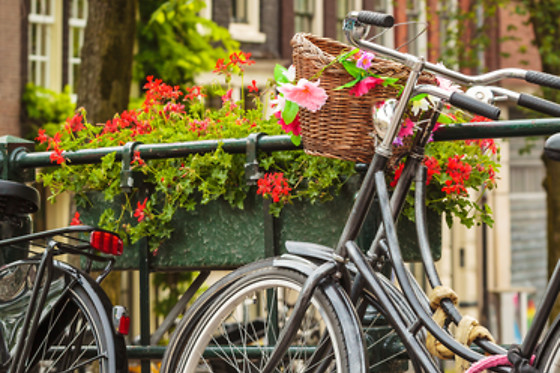 3 días de amor en Amsterdam