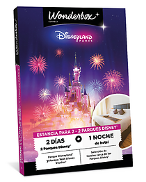 Disneyland Paris Estancia - 2 dias /  2 parques - 1 noche