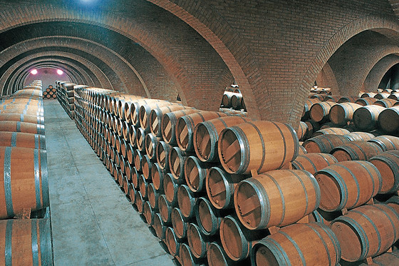 BODEGA DEL NERO - photo 1
