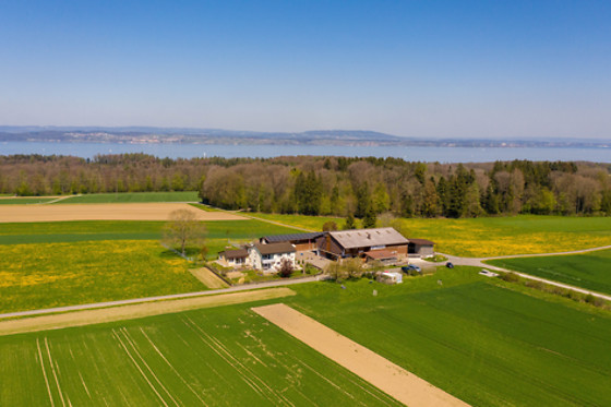 Hof-Tschannen - photo 0