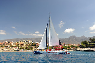Excursión en velero exclusivo para avistamiento de cetáceos en Costa Adeje (Santa Cruz de Tenerife)