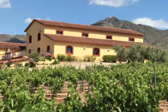 BODEGAS PERFER - photo 0