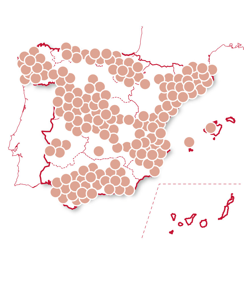 Sabores exóticos