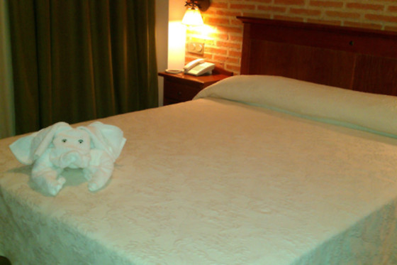 HOTEL ECOLOGICO TORAL - photo 4